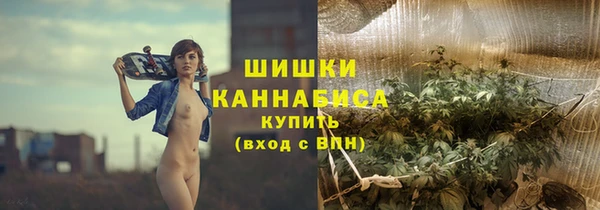 дмт Дмитровск