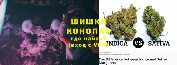 мдпв Дмитров