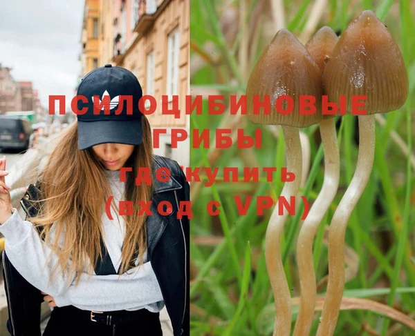 дмт Дмитровск