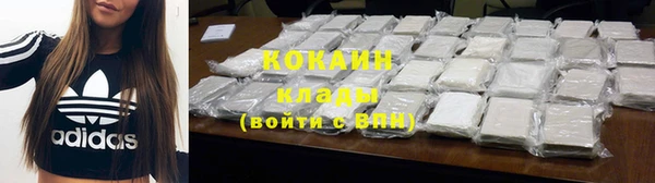 дмт Дмитровск