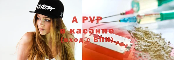 стаф Нефтегорск