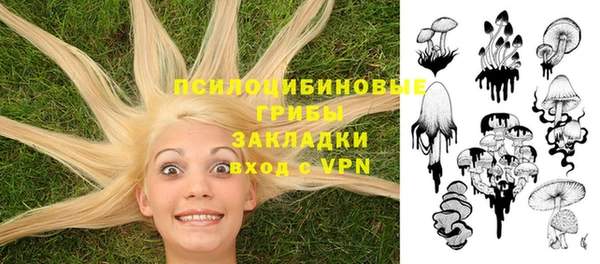 меф Дмитриев