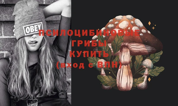 меф Дмитриев