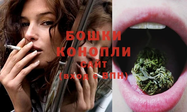 меф Дмитриев