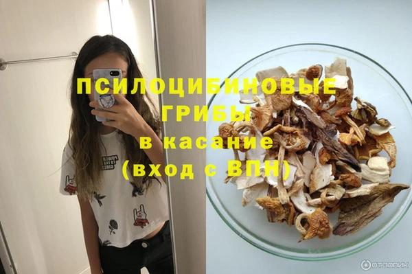 мдпв Дмитров