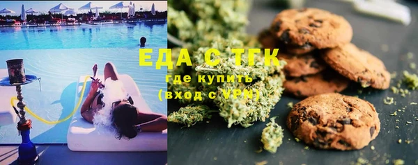 дмт Дмитровск