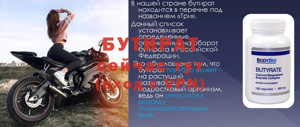 индика Гусев