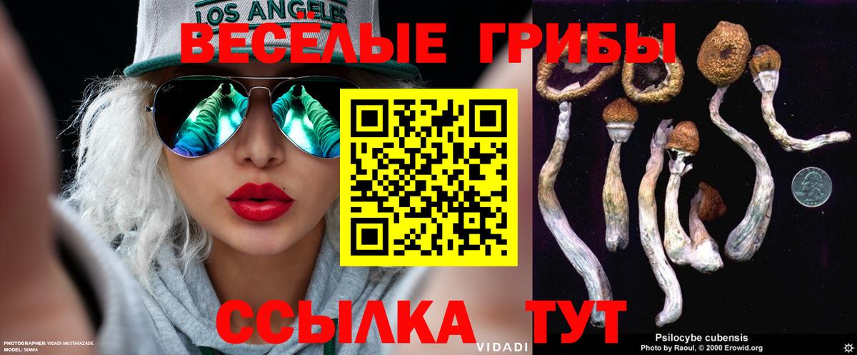 Галлюциногенные грибы мухоморы  Галлюциногенные грибы прущие грибы  Кондопога  Вход с VPN 
